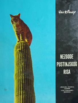 Nezgode pustinjskog risa