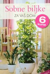 Sobne biljke za Vaš dom