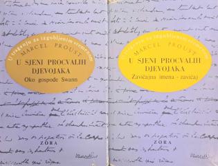 U sjeni procvalih djevojaka, sv. 1-2 (Zavičajna imena-zavičaj, oko gospođe Swann)