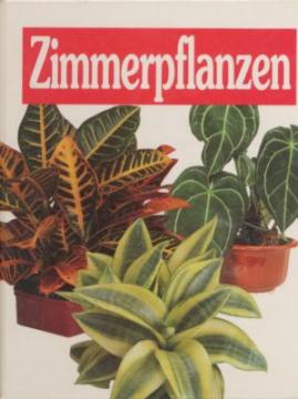 Zimmerpflanzen