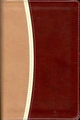 The Holy Bible - Amplified Version