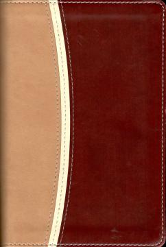 The Holy Bible - Amplified Version