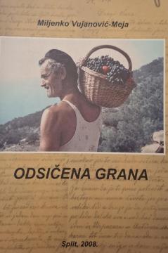 Odsičena grana