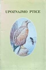 Upoznajmo ptice