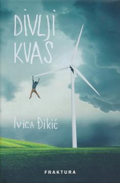 Divlji kvas