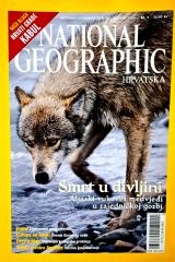 National geographic #5/2004: Smrt u divljini, Aljaski vukovi i medvjedi u zajedničkoj gozbi