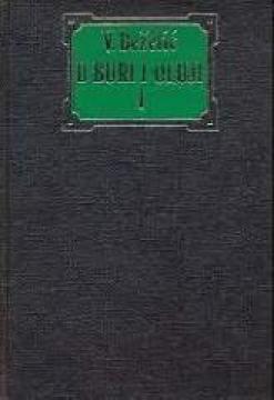U buri i oluji