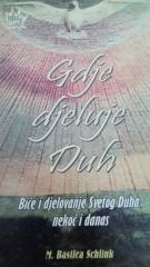 Gdje djeluje Duh: biće i djelovanje Svetoga Duha nekoć i danas