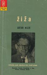 Žiža