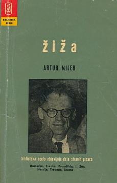 Žiža