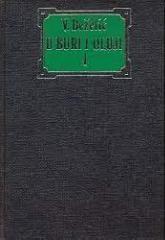 U buri i oluji